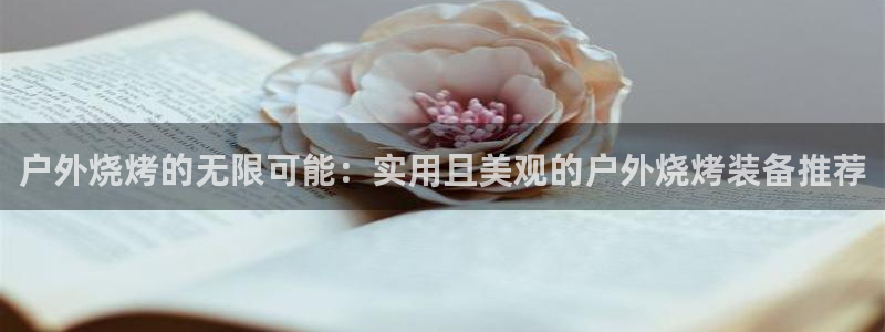 新宝GG反点