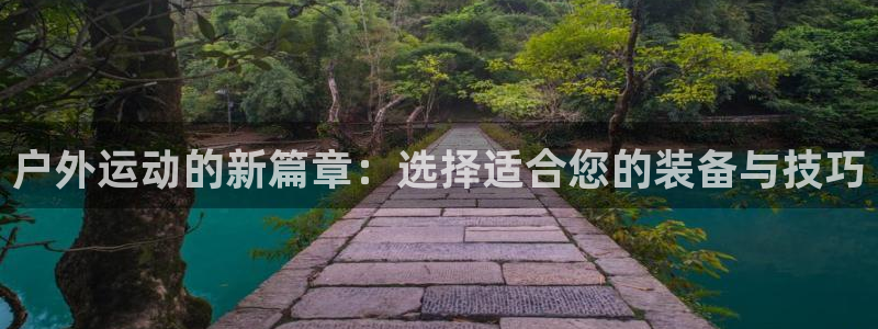 新宝gg反水
