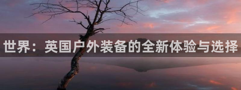 新宝gg