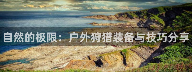 新宝太阳 gg