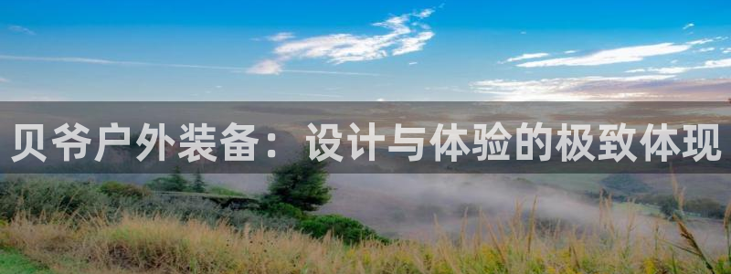 新宝gg主管开