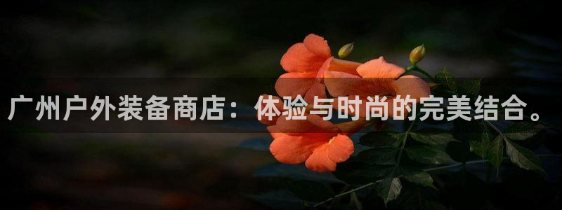 新宝gg 内部 8