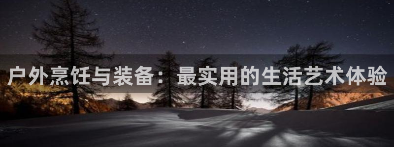 新宝gg平台反水