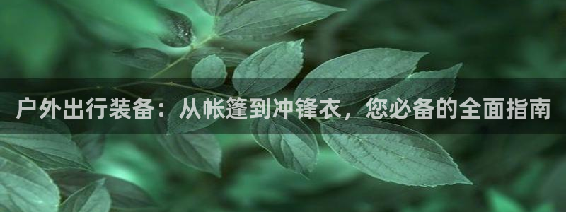 新宝gg专线