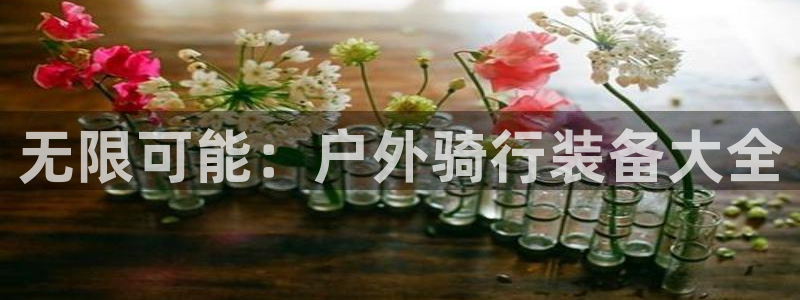 新宝GG于六七五一38