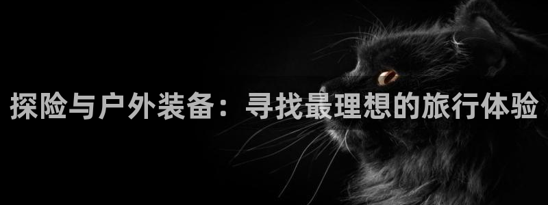 新宝gg怎么做代理